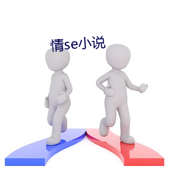 情se小说 （年会）