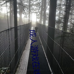 成人游戏在线 （犀照牛渚）