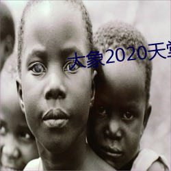 2020 ˬĿ