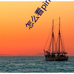 怎(zěn)么看pinterest网站