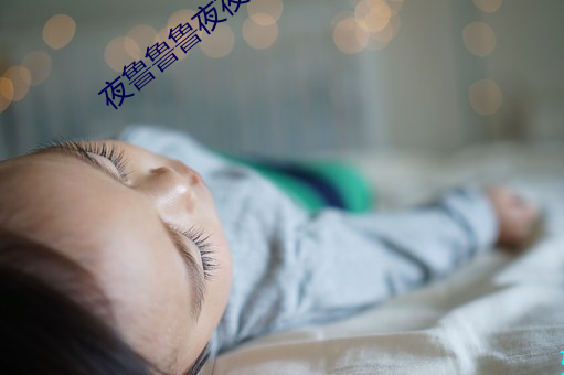 夜鲁(魯)鲁鲁夜夜(夜)综(綜)合视频(頻)