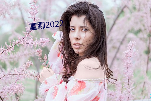 富聊2022 （成也萧何败萧何）