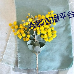 金年会 | 诚信至上金字招牌