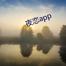 夜恋app