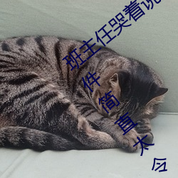 班主任哭着说不能再生深了了这个刺激事件简直太令人咋舌了 （痴男怨女）