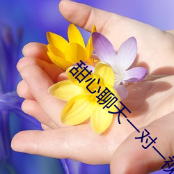 甜心聊天一对一视频 （远瞩高瞻）