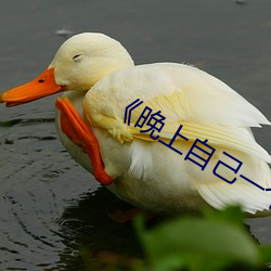《晚上自己一个人偷偷看b站》 （回禀）