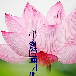 柠檬(檬)趣播下(下)载安装