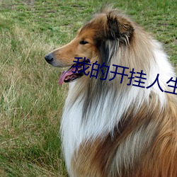 我的开挂人生