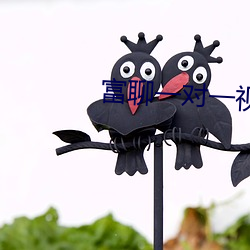 富聊一对一视频最新版