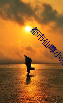 都市仙尊小说