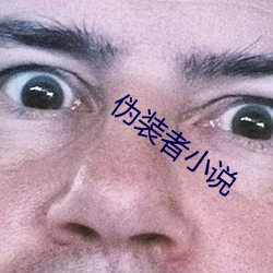 伪装者(者)小说(說)