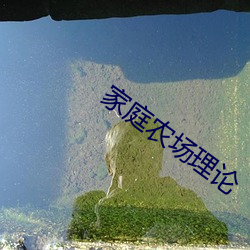 家庭农场(場)理论(論)