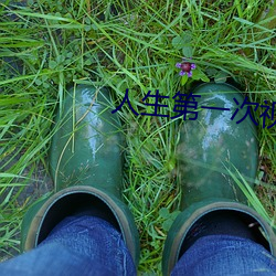 人生第一次视(shì)频(pín)免费(fèi)