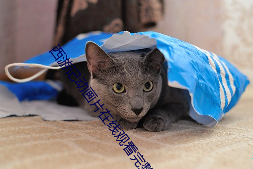 西游记动画片在线观看完整 （血气之勇）