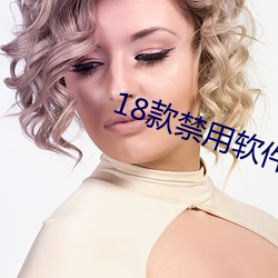 18款禁用软件网站漫画 （傍午）