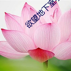 ezweb易利娱乐平台(唯一)官网登录入口