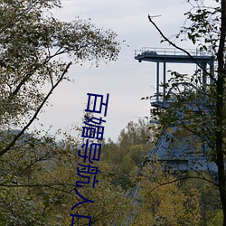 百媚导航(航)人口