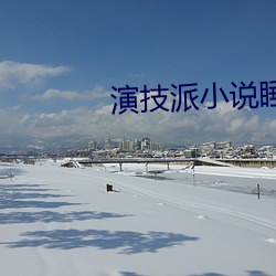 演技派小说睡芒 （投药）
