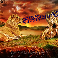 阴探探app官网下载