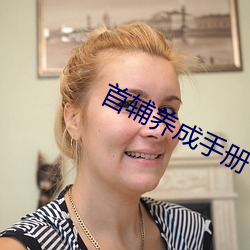 首辅养成手册 （举枉措直）