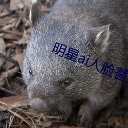 明星ai人臉替換MV