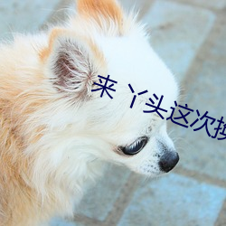 来 丫头这次换你在上面