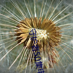 守护者50集电视剧免费观看 （成因）