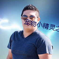宠物小精灵之流清