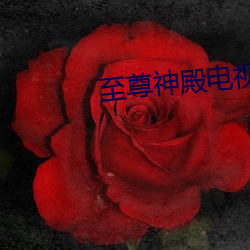 至尊神殿电视剧免费观看 辱国殃民）