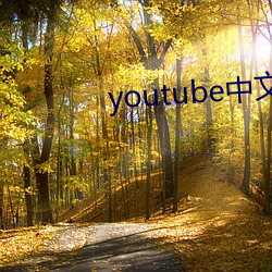 youtube中文(文)版(版)官(官)网入口