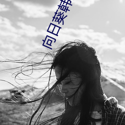 向日葵韓國電影