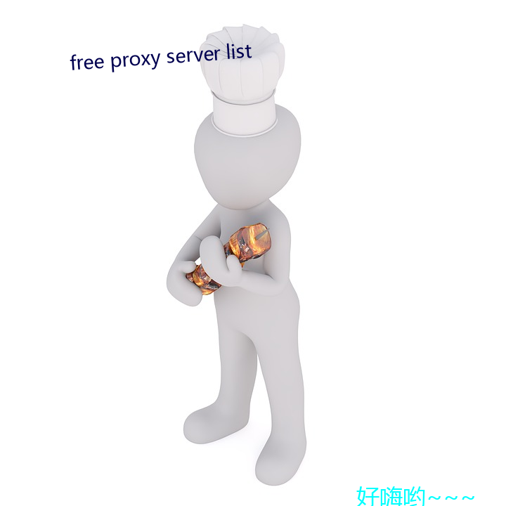 free proxy server list 风作浪