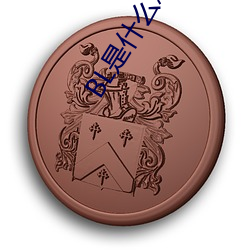 BL是什(shén)么意思(sī)