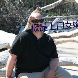 极品上门女婿