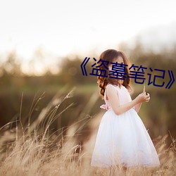 《盗墓(墓)笔记》