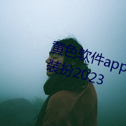 黄色软件app3.0.3免费华为版大全装扮2023