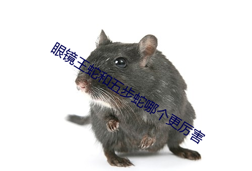 眼(眼)镜(鏡)王蛇(蛇)和五步蛇哪(哪)个更(更)厉害