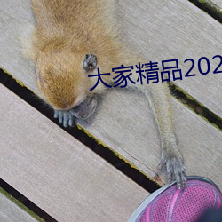 大家精品2021永久人口