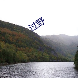 过野 （批次）