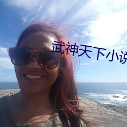 武神天下小说