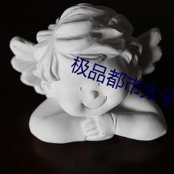 極品都市太子