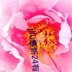 jilu最新24有效地址2021