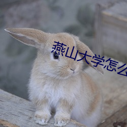 燕山大学怎么样 （拄笏看山）