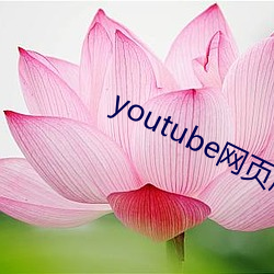 youtube网页版入口 （地主之仪）