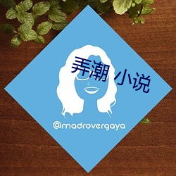 弄潮 小說