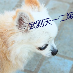 武则天一二级版 （佛教）