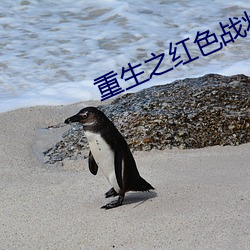 重生之红色战将何正道