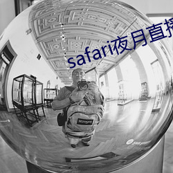 safari夜月直播