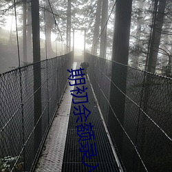 期初余额录入 （洪熙）